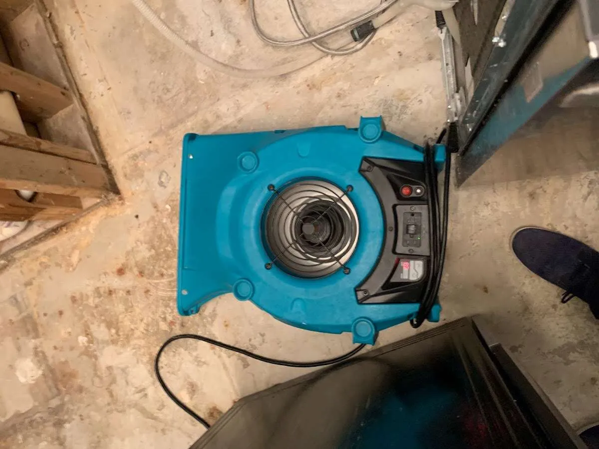 Air mover drying equipment for Mold Remediation & Removal in Indianapolis